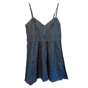 Express Blue Denim Dress